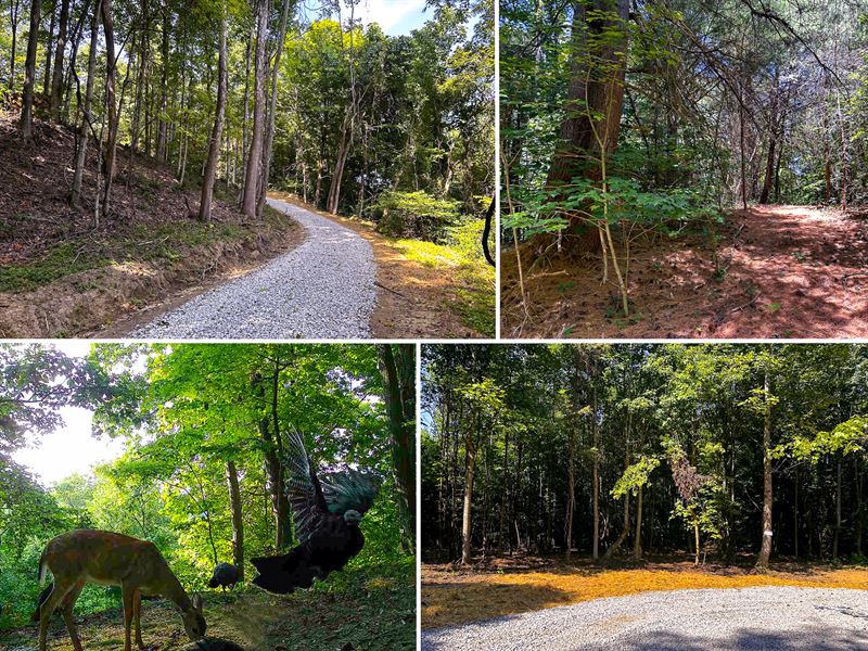 Tract 10 at The Woods at Titus : Langsville : Jackson County : Ohio