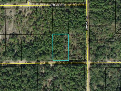 Beautiful Compass Lake Hills Lot : Marianna : Jackson County : Florida