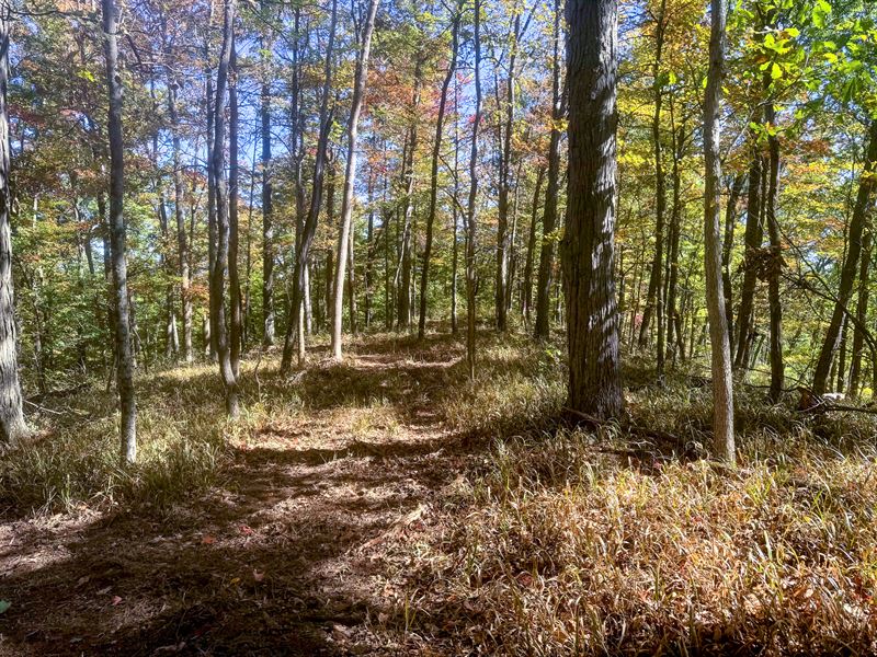 Tract 8, Easterday Woods : Chillicothe : Ross County : Ohio