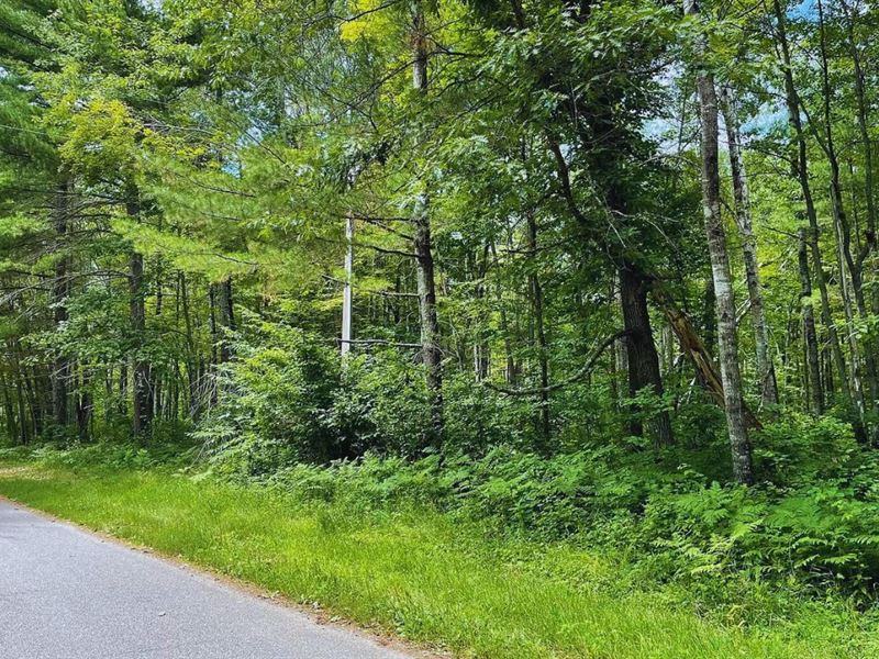 Secluded Buildable Spot at $125/Mo : Breezy Point : Crow Wing County : Minnesota