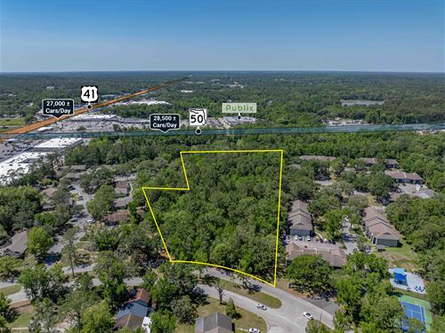 Hernando County Development Land : Brooksville : Hernando County : Florida