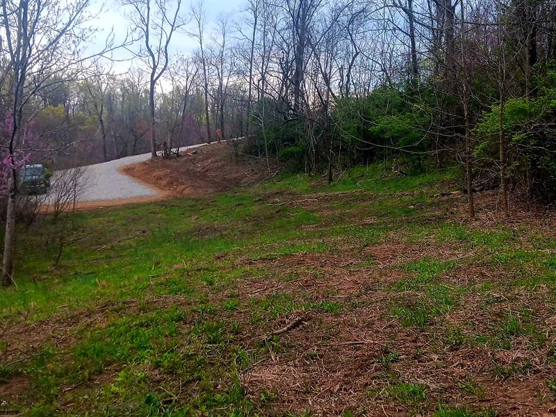 Tract 2 at Crown Wildlife Retreat : Crown City : Gallia County : Ohio