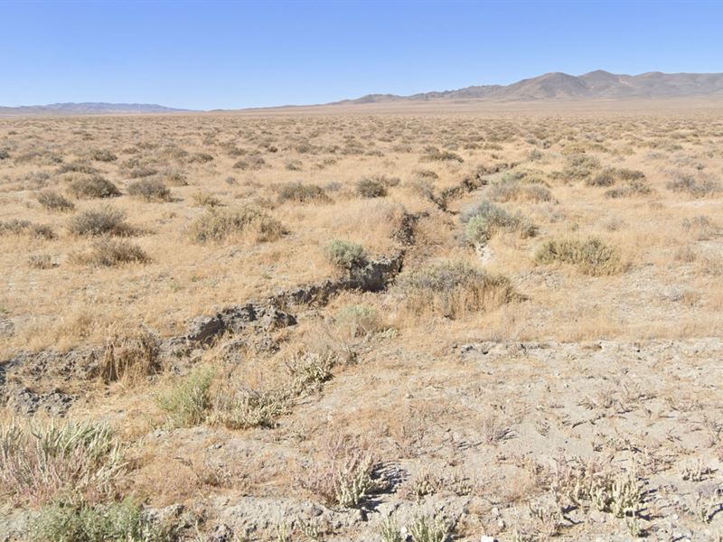 Blm and Hot Springs- Buy, Nature's : Imlay : Pershing County : Nevada