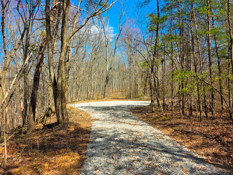 Big Timber Ridge, Phase II Tract 7 : Vinton : Meigs County : Ohio