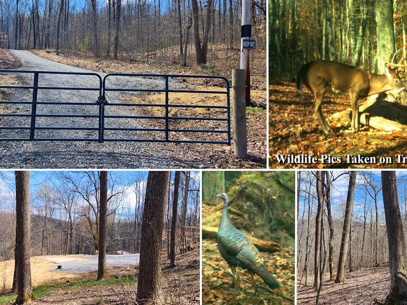 Tract 2, Pike Lake Getaway : Bainbridge : Pike County : Ohio