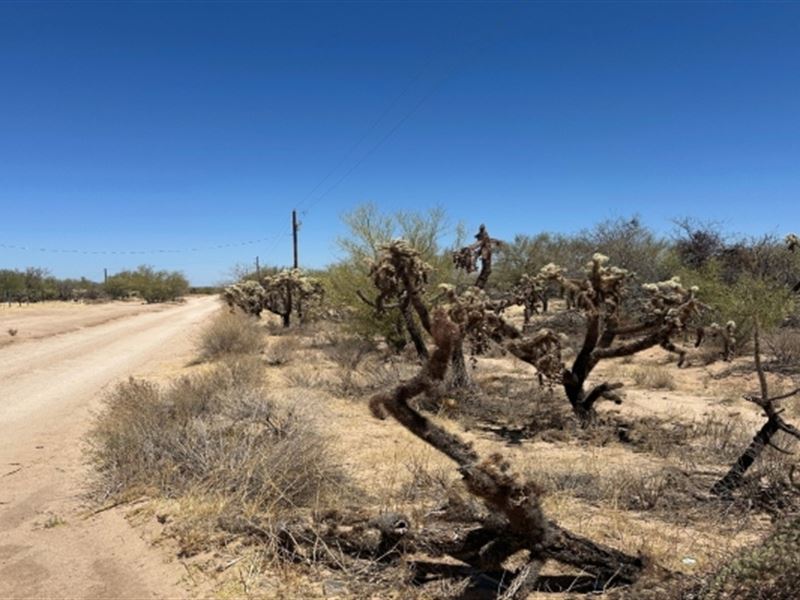 Build Your Family Dream Home : Tucson : Pima County : Arizona