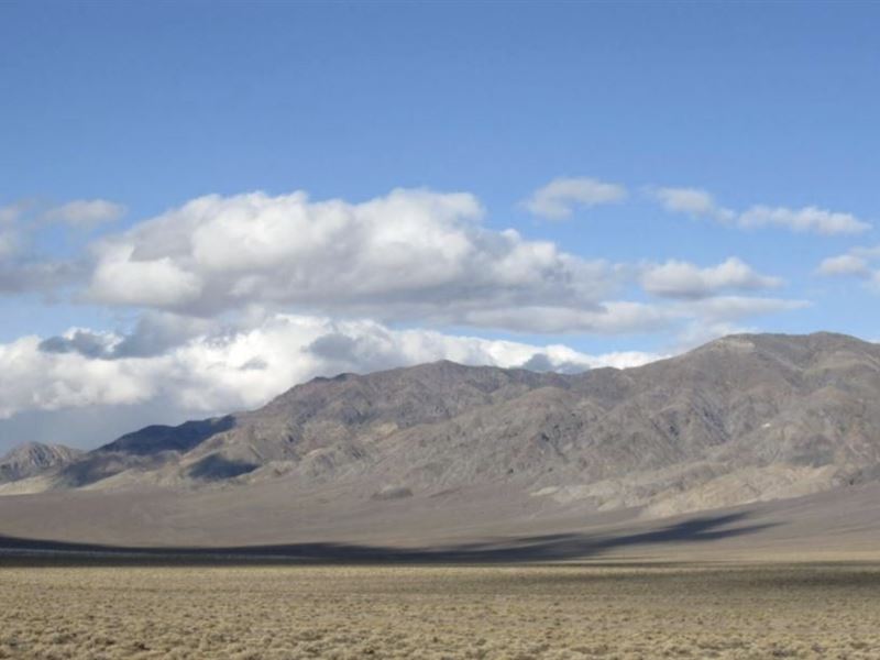 Own Near Rye Patch, $449/Month : Winnemucca : Humboldt County : Nevada