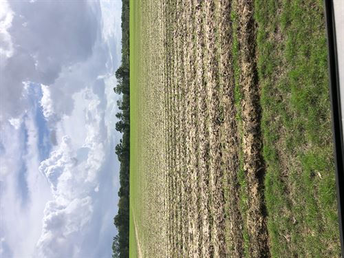 La, Franklin 390 Acres : Winnsboro : Franklin Parish : Louisiana