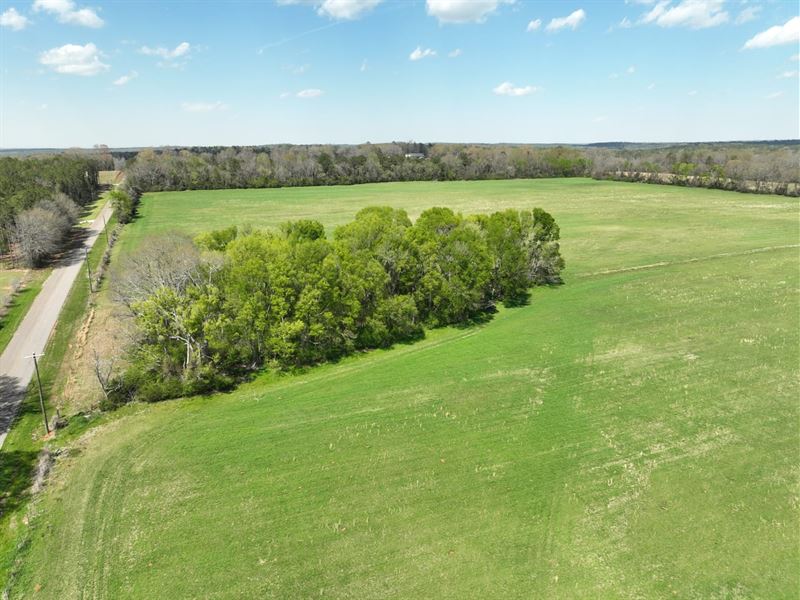 9 Acre Dream Homesite with Towering : Booth : Autauga County : Alabama