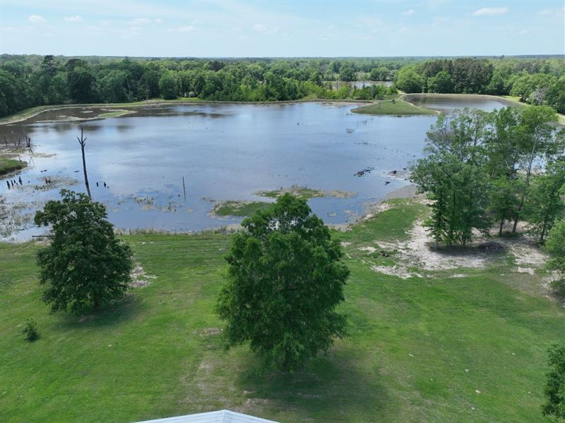 Bayou LA Nana Tract, Sabine Parish : Many : Sabine Parish : Louisiana
