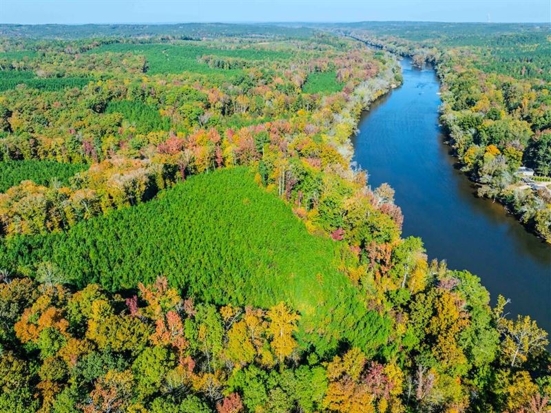 715.9, Acre Timber & Recreation Pr : Broadway : Harnett County : North Carolina