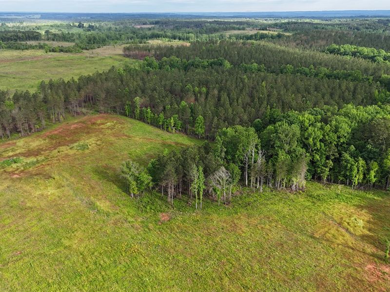 149 Acres, Pasture, Standing : Five Points : Chambers County : Alabama