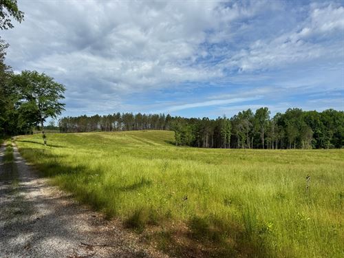 149 Acres, Pasture, Standing : Five Points : Chambers County : Alabama