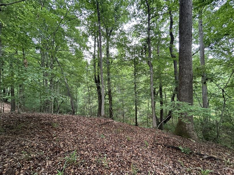 Wooded Homesite with Views : Thomaston : Upson County : Georgia