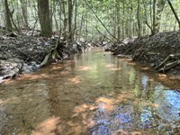 Catalpa Tract : Catalpa : Pike County : Alabama