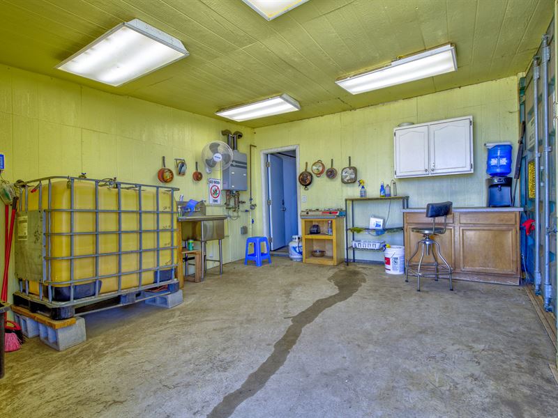 Seller Financing Water/Septic/Bldgs : Hemet : Riverside County : California