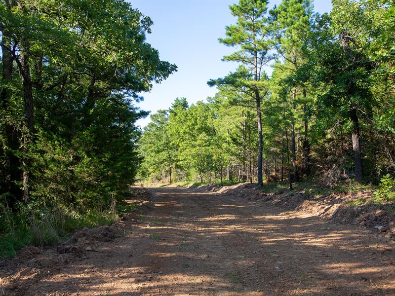 $499 Down on Ogden Mills Trail : Lequire : Le Flore County : Oklahoma