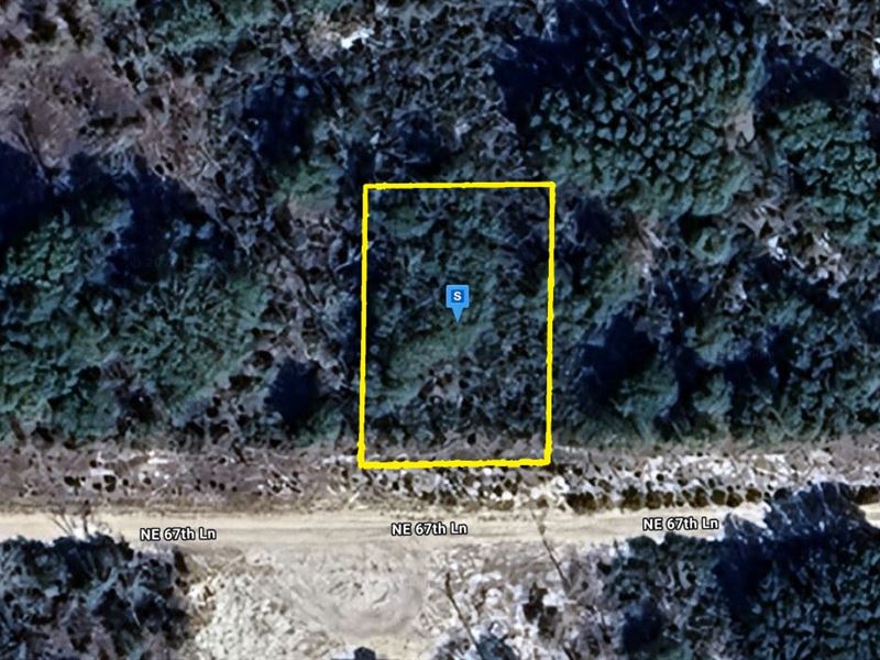 Well-Located Lot for $359.25/Month : Williston : Levy County : Florida