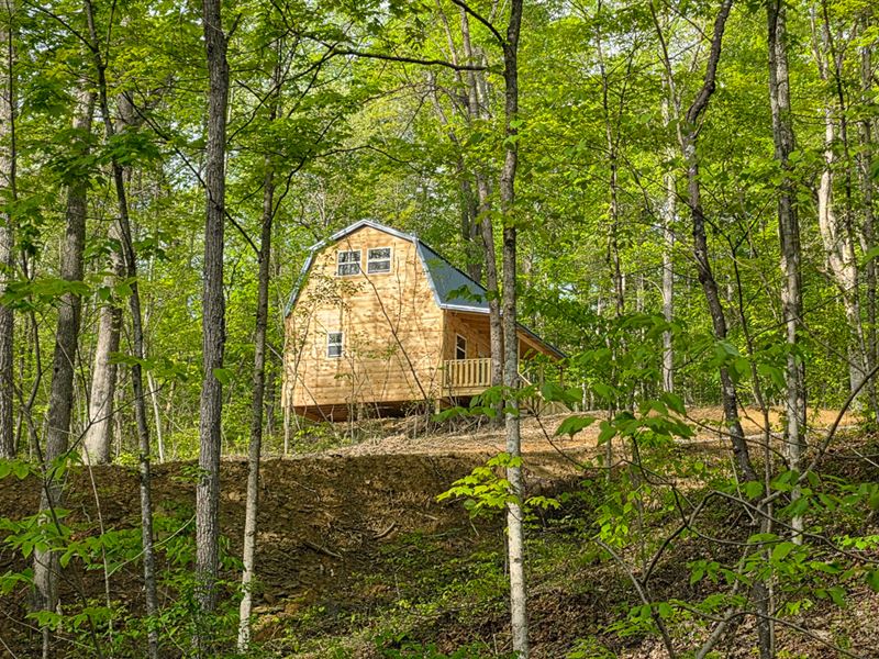 Timber View Cabin at Big Timber Rid : Vinton : Meigs County : Ohio