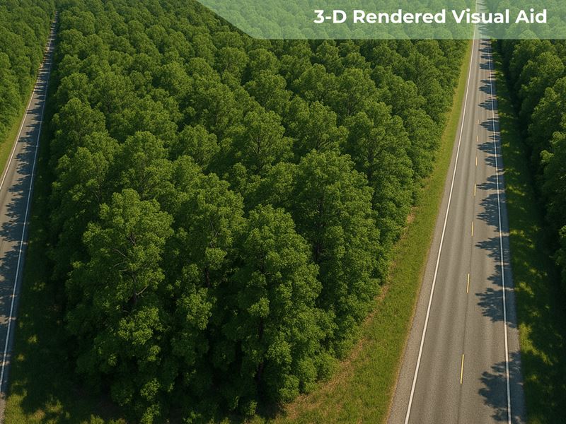 2.93 Acres on Bladenboro Airport Rd : Bladenboro : Bladen County : North Carolina
