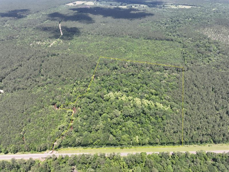 32 Acres, T-23, Highway 94 : Groveton : Trinity County : Texas