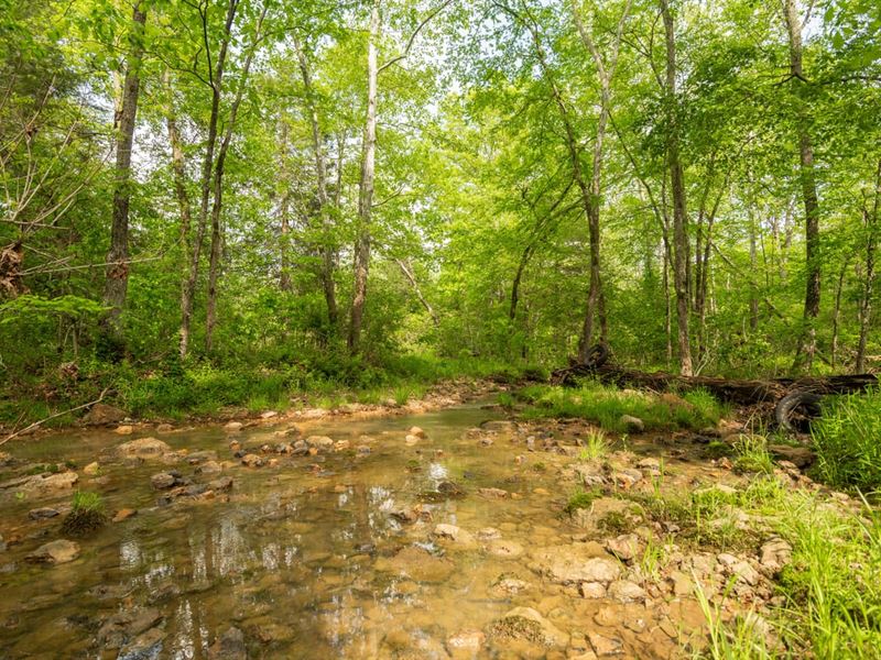 Stunning 80 Acres for Sale in Bo : Zalma : Bollinger County : Missouri