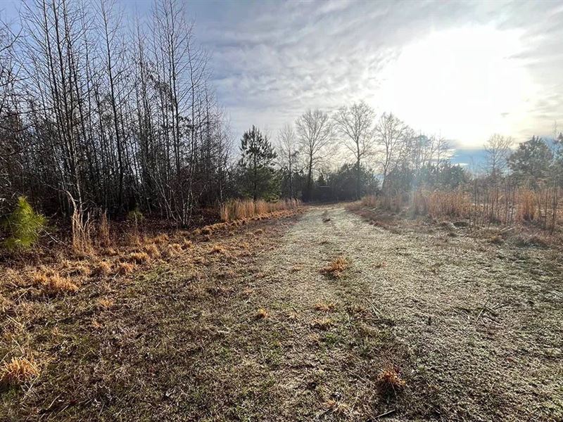 93 Acres in Union Parish, LA : Spearsville : Union Parish : Louisiana