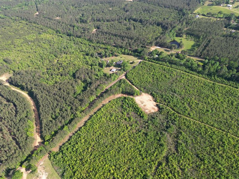 40 Acres in Lincoln County, MS : Summit : Lincoln County : Mississippi