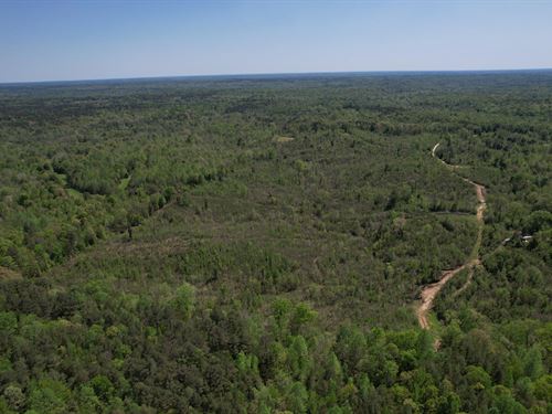 120 Acres Holmes County, MS : Lexington : Holmes County : Mississippi