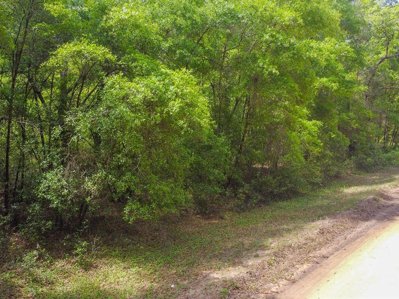 Peaceful Place to Call Your Own : Interlachen : Putnam County : Florida