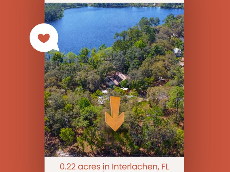 Escape The Noise Affordable Land : Interlachen : Putnam County : Florida