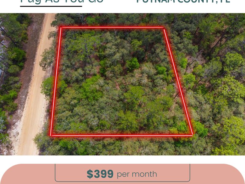 Own Florida Land for Just $499 Down : Interlachen : Putnam County : Florida