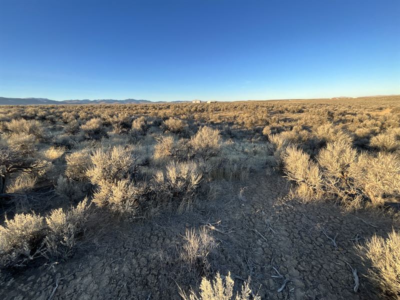 1.13 Acres, Homestead Ready in NV : Osino : Elko County : Nevada