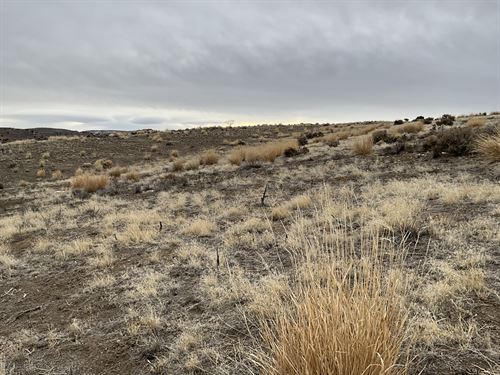 Your 1.13 Acres, Elko, Nv, $100/Mo : Elko : Nevada
