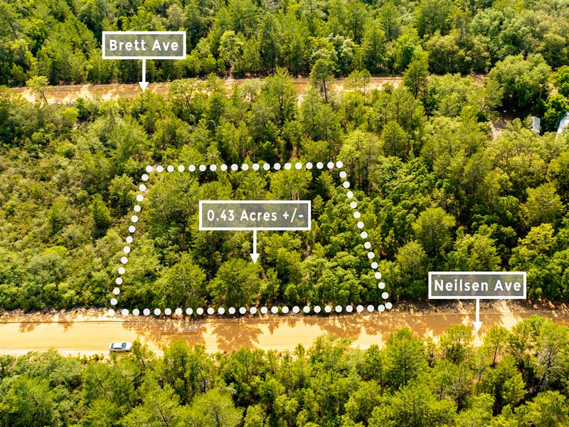 Land for Sale Near Lake Grandin : Interlachen : Putnam County : Florida