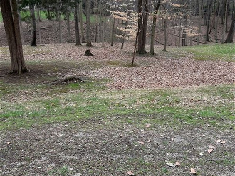 Build Dream Home, Prime Location : Delaware : Delaware County : Ohio