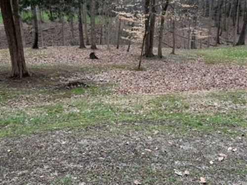 Build Dream Home, 1.16 Acres : Delaware : Ohio