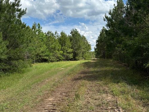 123 Acres Hwy 55N : Red Level : Covington County : Alabama