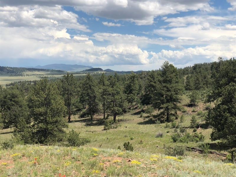 Hartsel Ranch : Hartsel : Park County : Colorado