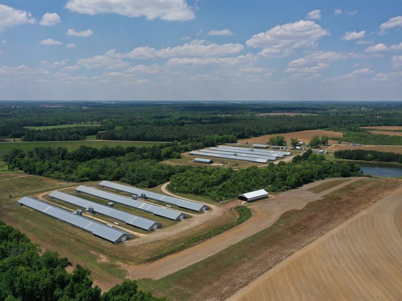 A&R Broiler Farm : Hartsfield : Colquitt County : Georgia
