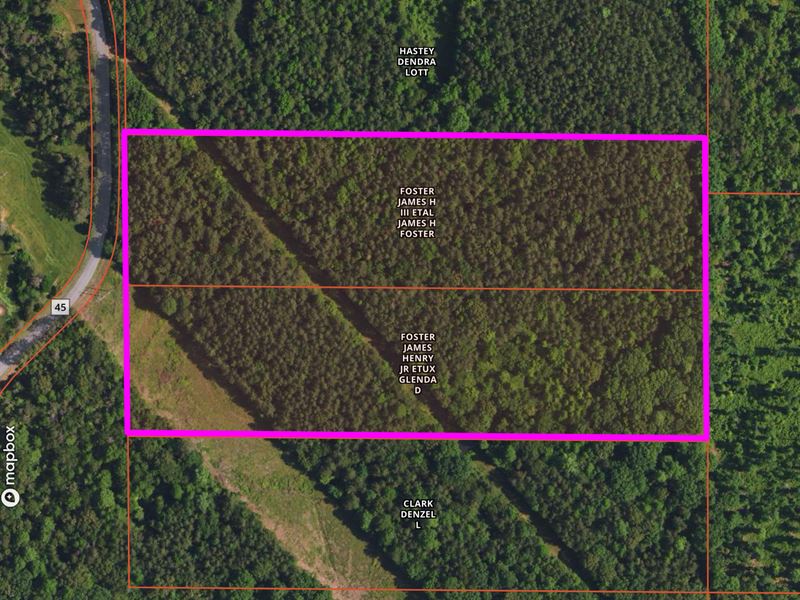 Waterloo Tract : Waterloo : Lauderdale County : Alabama