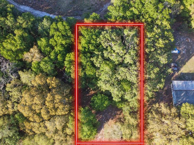 Own Peaceful Florida Lot with Pond : Interlachen : Putnam County : Florida