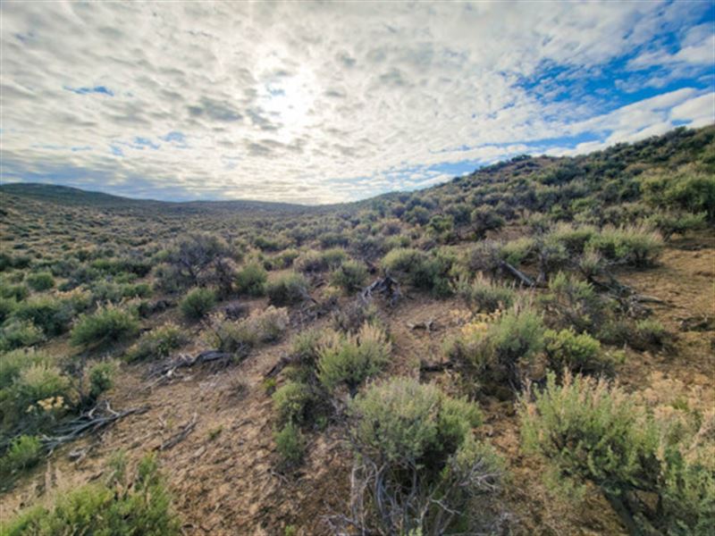 Calling All Adventure Seekers : Elko : Elko County : Nevada