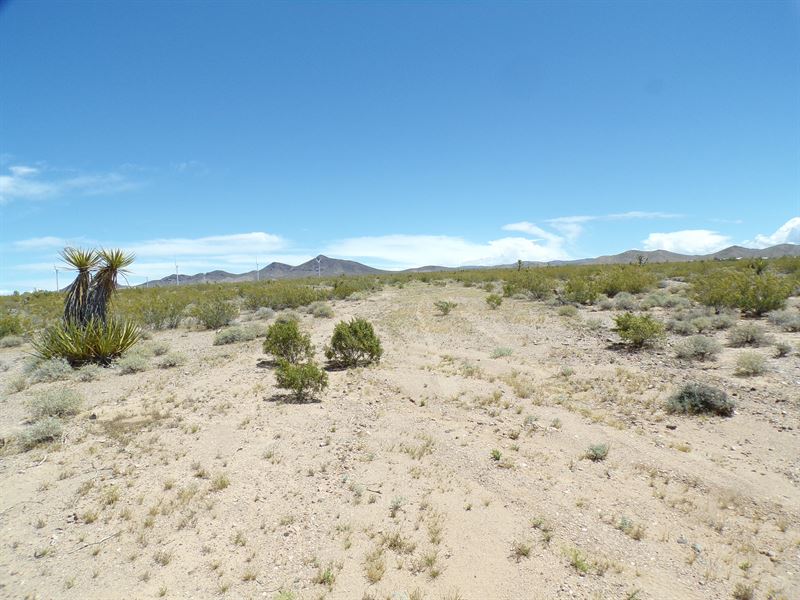 1 Acre Smart Investment : White Hills : Mohave County : Arizona