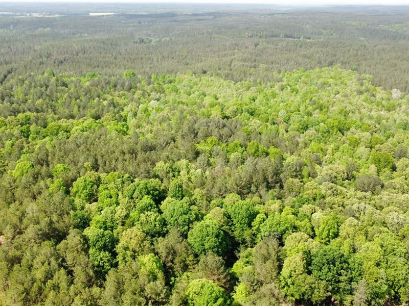 Tishomingo County 55.4 : Burnsville : Tishomingo County : Mississippi