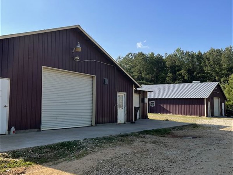 Breeder Farm in Franklin County : Lavonia : Franklin County : Georgia