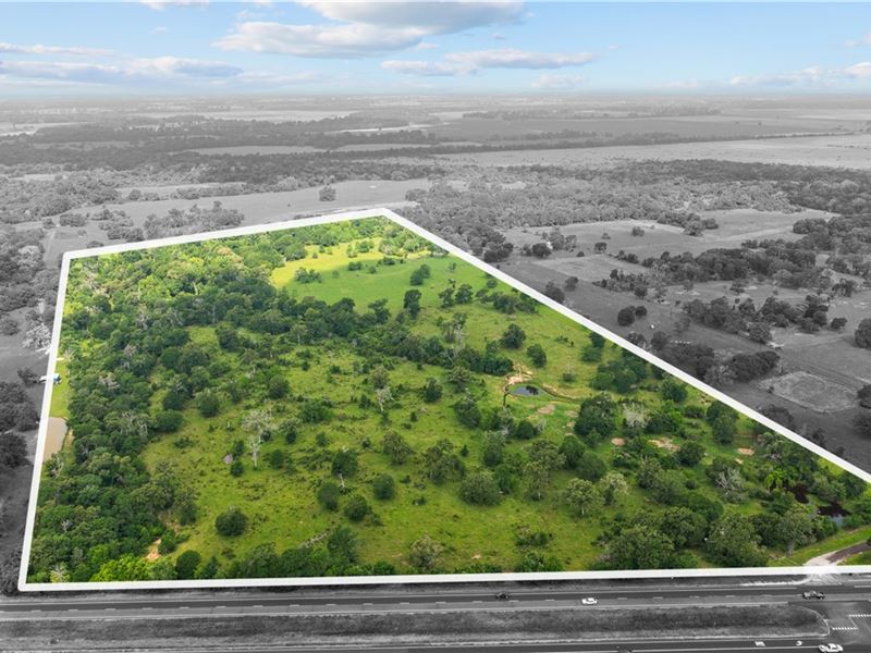 Prime 52 Acres Property : Navasota : Grimes County : Texas
