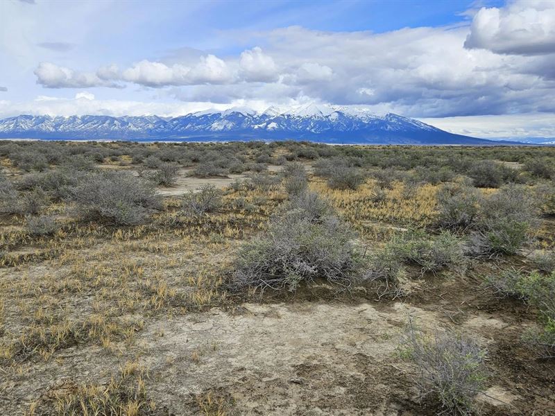 Lane 4 North, Alamosa, Co 81101 : Alamosa : Costilla County : Colorado