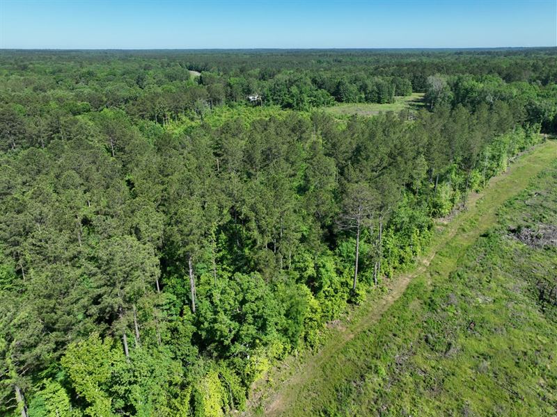 Gamble Properties of Webster Parish : Shongaloo : Webster Parish : Louisiana