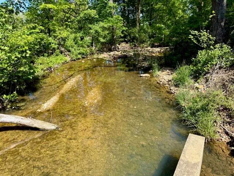 159.8 Pasture/Woods Live Water, Pon : Bucyrus : Texas County : Missouri